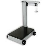 Detecto Floor Scales