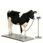 Veterinary Scales
