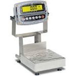 Detecto Bench Scales