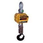 Crane Scales
