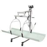 Patient Lift Scales